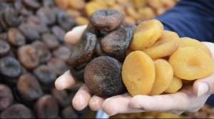 Dünya Bu Şehre Bağımlı Malatya Kayısısı Küresel Pazarı Ele Geçirdi