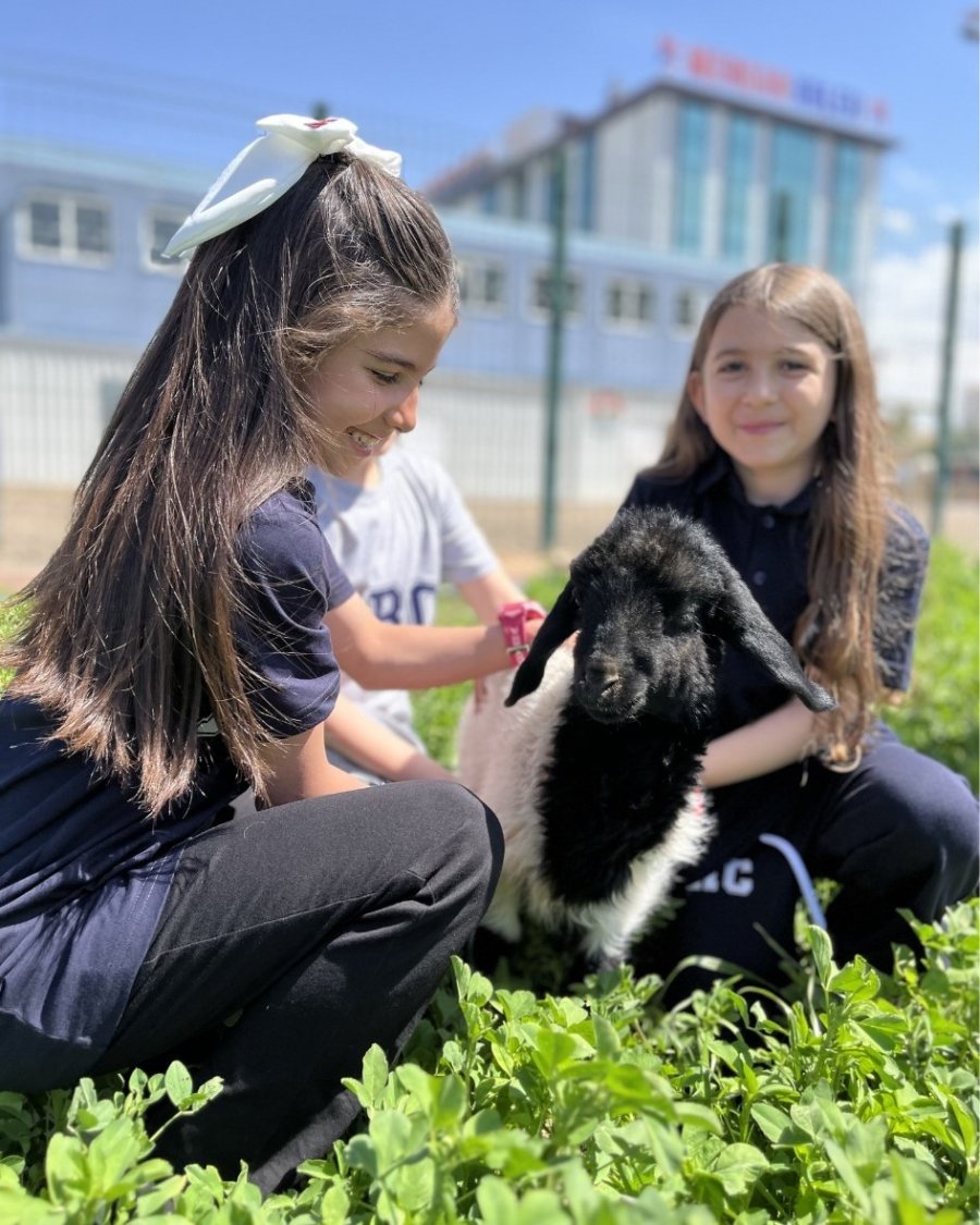 Okulda Şiddete Karşı Örnek Model: Mercan Koleji’nde Çocuklar Sevgiyi Yaşayarak Öğreniyor